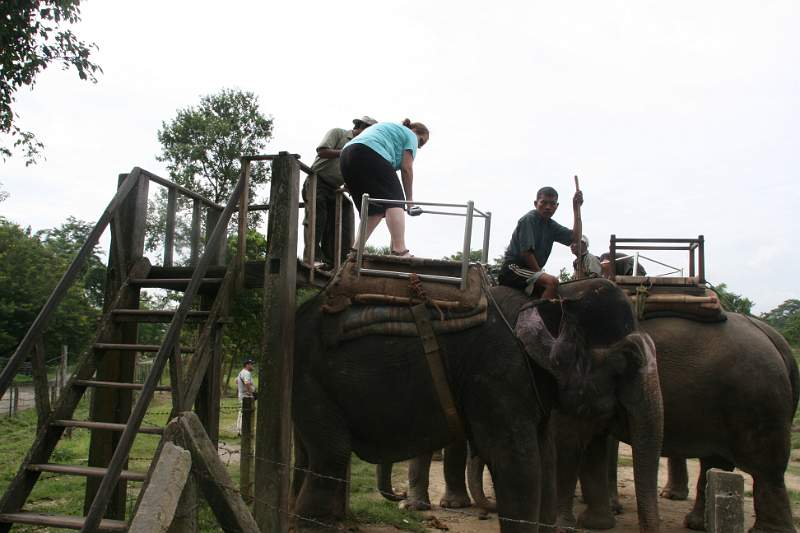 India & Nepal 2011 - 0537